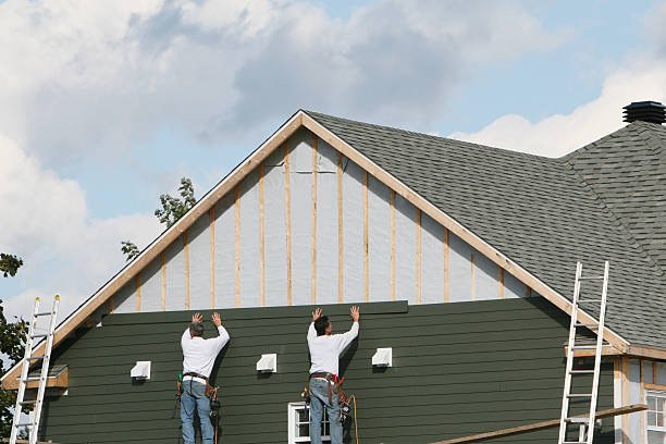 Best Stone Veneer Siding  in Loyal, WI